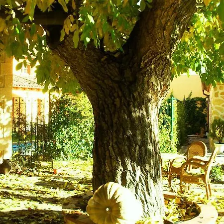 Apartment Turisticos Y Suites El Nogal *